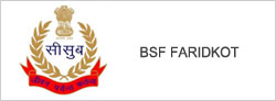 bsf faridkot